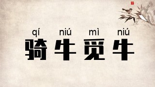 骑牛觅牛