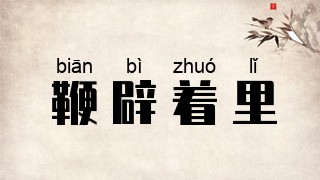 鞭辟着里