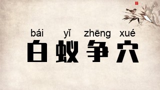 白蚁争穴