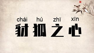 豺狐之心
