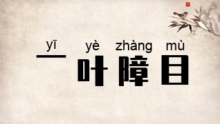 一叶障目