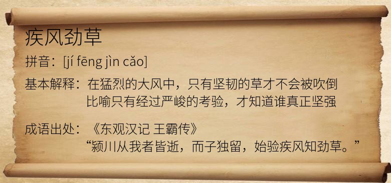 疾风劲草