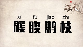 鼷腹鹪枝