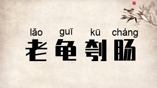 老龟刳肠