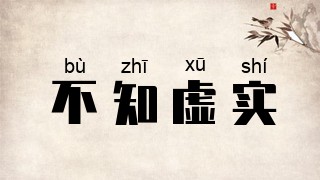 不知虚实