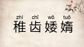 稚齿婑媠