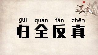 归全反真