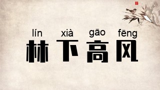林下高风