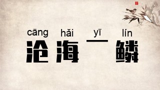 沧海一鳞