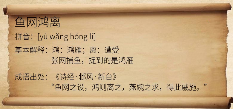 鱼网鸿离