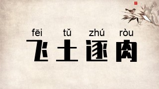 飞土逐肉