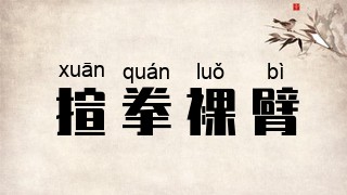 揎拳裸臂