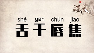 舌干唇焦