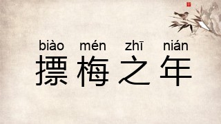 摽梅之年