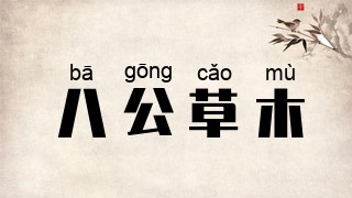 八公草木