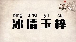 冰清玉粹