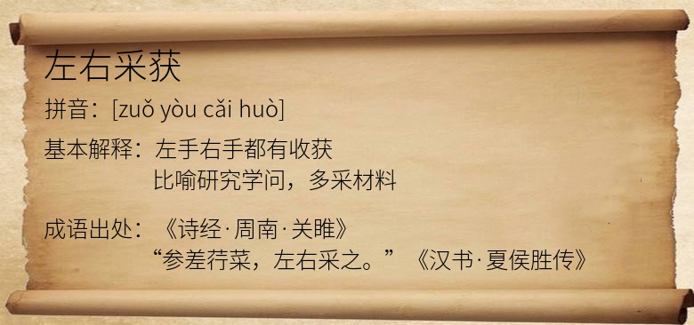 左右采获