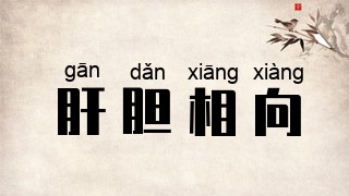 肝胆相向