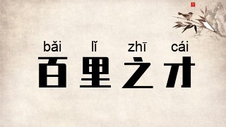 百里之才