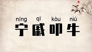 宁戚叩牛