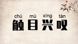 触目兴叹