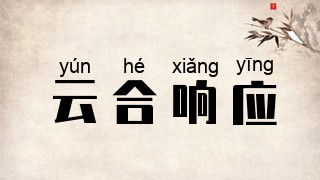 云合响应