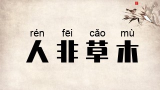 人非草木