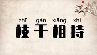 枝干相持