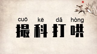 撮科打哄
