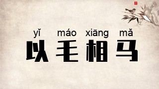 以毛相马