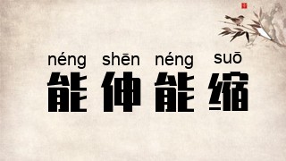 能伸能缩