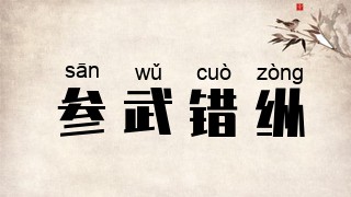 参武错纵