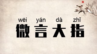 微言大指