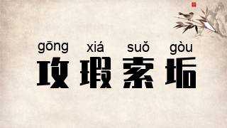 攻瑕索垢