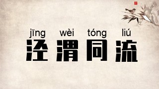 泾渭同流