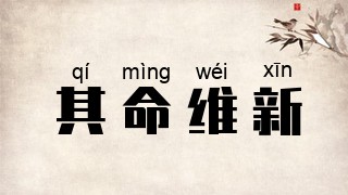 其命维新