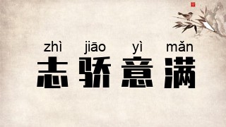 志骄意满
