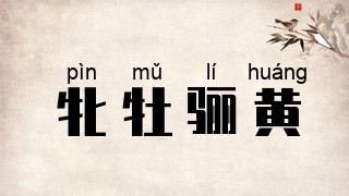牝牡骊黄