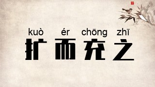 扩而充之