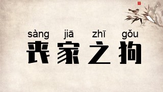 丧家之狗