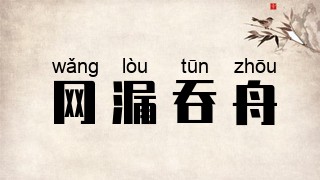 网漏吞舟