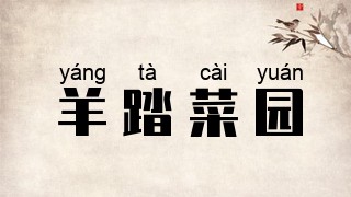 羊踏菜园