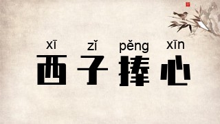 西子捧心