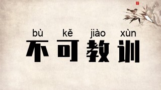 不可教训