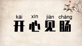 开心见肠