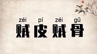 贼皮贼骨