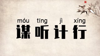 谋听计行