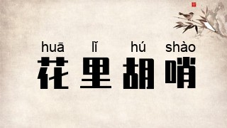 花里胡哨