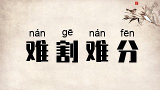 难割难分