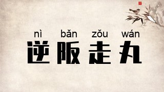 逆阪走丸